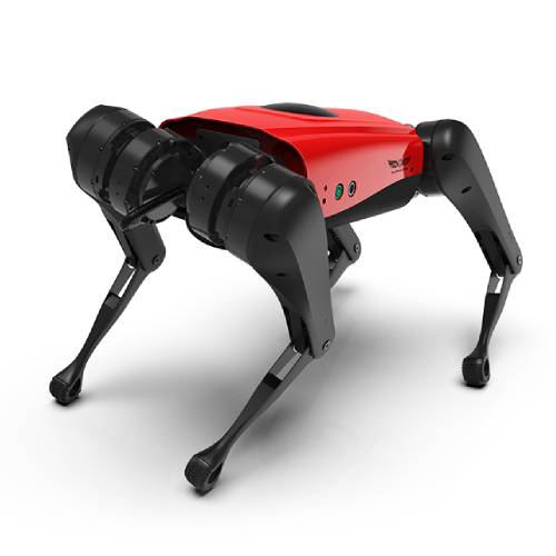 Робот AlphaDog C200
