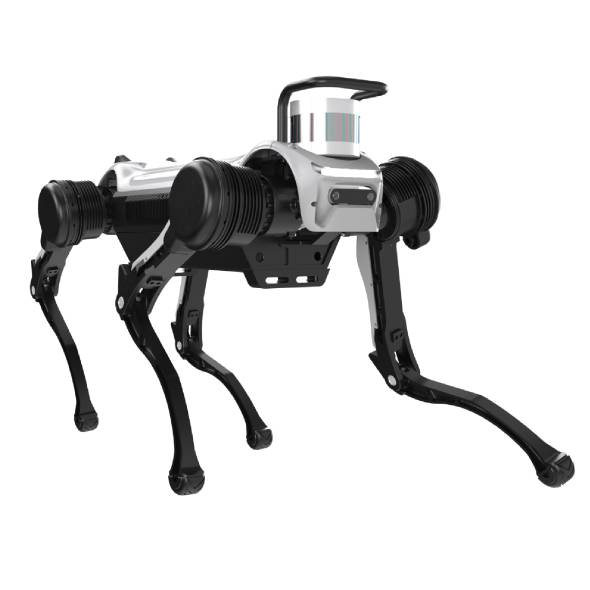 Deep Robotics Standard