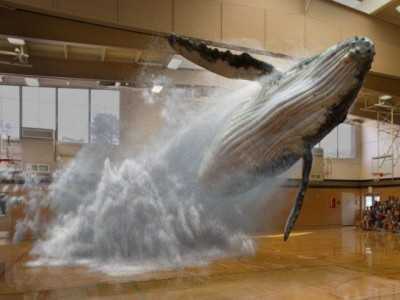 Magic Leap